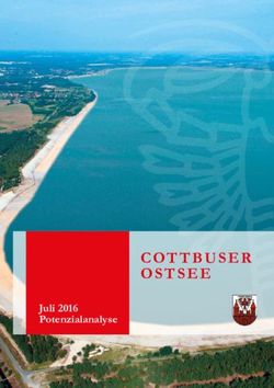 Juli 2016 Potenzialanalyse - Stadt Cottbus