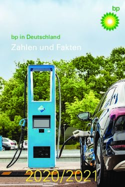 2020 / 2021 Zahlen und Fakten bp in Deutschland