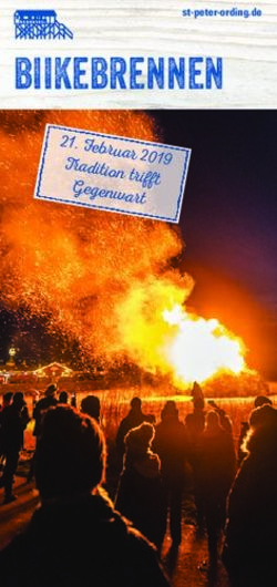 Biikebrennen 21. Februar 2019 Tradition trifft Gegenwart - st-peter-ording.de - St. Peter-Ording