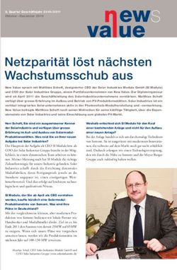 Va ue Netzparit&auml;t l&ouml;st n&auml;chsten Wachstumsschub aus - New Value AG