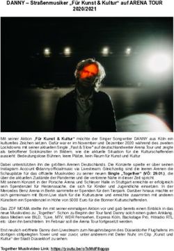 DANNY - Stra&szlig;enmusiker "F&uuml;r Kunst & Kultur" auf ARENA TOUR 2020/2021 - Singer Songwriter