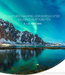 NATURSCHAUSPIEL DER NORDLICHTER ERLEBNIS HURTIGRUTEN - 12. M&Auml;RZ 2020