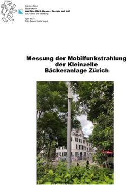 Messung der Mobilfunkstrahlung der Kleinzelle B&auml;ckeranlage Z&uuml;rich