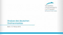 Analyse des deutschen Drohnenmarktes - Berlin, 12. Februar 2019 - Verband Unbemannte ...