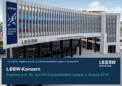 LBBW-Konzern Ergebnis zum 30. Juni 2018 einschließlich Update 3. Quartal 2018 - 12.11.2018 Ergebnis zum 30. Juni 2018 einschließlich Update 3 ...