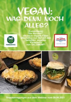 Kombinieren Sie Nurishh, die neue vegane K&auml;se-alternative von Bel mit den beliebten veganen Klassikern von SALOMON! - Snackanregungen aus dem ...