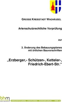 "Erzberger,- Sch&uuml;tzen-, Ketteler-, Friedrich-Ebert-Str." - Artenschutzrechtliche Vorpr&uuml;fung - Stadt ...