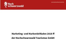 Marketing- und Markenleitfaden 2018 ff der Hochschwarzwald Tourismus GmbH