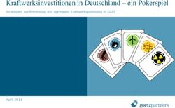 Kraftwerksinvestitionen in Deutschland - ein Pokerspiel - Strategien zur Ermittlung des optimalen Kraftwerksportfolios in 2025 - April 2011