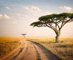 Tansania Atemberaubende Tierwelt im Schatten des Kilimanjaros Tarangire Nationalpark - Serengeti - Ngorongoro-Krater - Sansibar - ir-tours.de
