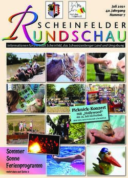 Sommer Sonne Ferienprogramm - Pick nick-Konzer t mit "Holly wood" am 24. Juli im Freibad - Stadt Scheinfeld