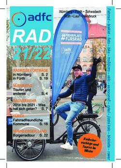 RADREISEVORTR&Auml;GE N&Uuml;RNBERG RADVERKEHR F&Uuml;RTH N&Uuml;RNBERGER LAND - N&uuml;rnberg F&uuml;rth Schwabach Roth Lauf Hersbruck