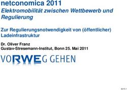 Netconomica 2011 Elektromobilit&auml;t zwischen Wettbewerb und Regulierung - Zur Regulierungsnotwendigkeit von (&ouml;ffentlicher) Ladeinfrastruktur