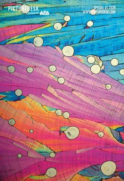 SPECIAL #1 2020 WWW.PICTUREDESK.COM