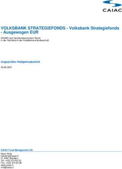 VOLKSBANK STRATEGIEFONDS - Volksbank Strategiefonds - Ausgewogen EUR