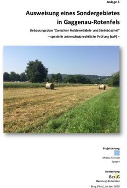 Ausweisung eines Sondergebietes in Gaggenau-Rotenfels