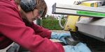 ARBEITSWELT IM WANDEL - ZAHLEN - DATEN - FAKTEN AUSGABE 2020 - BAUA