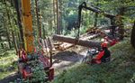Waldpolitik 2020 Visionen, Ziele und Massnahmen f&uuml;r eine nachhaltige Bewirtschaftung des Schweizer Waldes