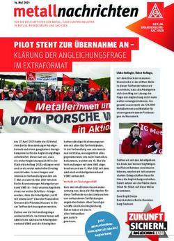 PILOT STEHT ZUR &Uuml;BERNAHME AN- KL&Auml;RUNG DER ANGLEICHUNGSFRAGE IM EXTRAFORMAT - IG Metall Leipzig
