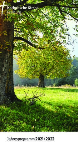 Katholische Kirche Freiburg - Jahresprogramm 2021 / 2022