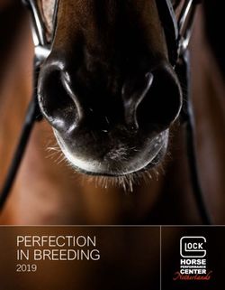 PERFECTION IN BREEDING 2019 - GLOCK HORSE PERFORMANCE CENTER