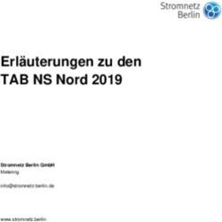 Erläuterungen zu den TAB NS Nord 2019 - Stromnetz Berlin