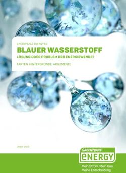 BLAUER WASSERSTOFF L&Ouml;SUNG ODER PROBLEM DER ENERGIEWENDE? - FAKTEN, HINTERGR&Uuml;NDE, ARGUMENTE - Greenpeace Energy