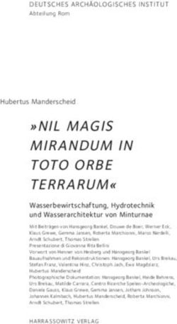 "NIL MAGIS MIRANDUM IN TOTO ORBE TERRARUM" - Wasserbewirtschaftung, Hydrotechnik und Wasserarchitektur von Minturnae