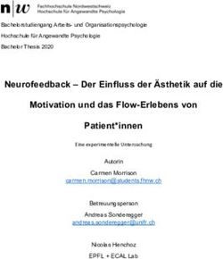 Neurofeedback - Der Einfluss der Ästhetik auf die Motivation und das Flow-Erlebens von Patient*innen