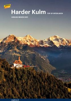 Harder Kulm TOP OF INTERLAKEN - GENUSS MEN&Uuml;S 2021 - jungfrau.ch