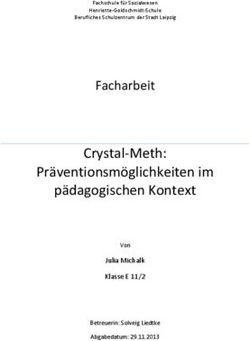 Crystal-Meth: Präventionsmöglichkeiten im pädagogischen Kontext - Facharbeit - Julia Michalk