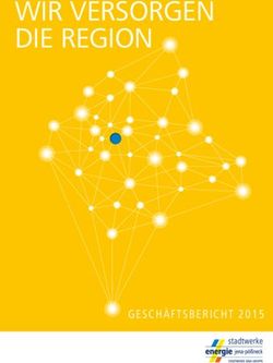 WIR VERSORGEN DIE REGION - GESCH&Auml;FTSBERICHT 2015 - Stadtwerke Jena