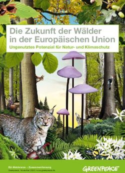 Die Zukunft der W&auml;lder in der Europ&auml;ischen Union - Ungenutztes Potenzial f&uuml;r Natur- und Klimaschutz