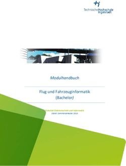 Modulhandbuch Flug Und Fahrzeuginformatik (Bachelor) - Fakultät ...