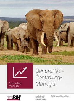 Der proRM - Controlling-Manager - Genehmigungs-manager Projektvorlagen-Editor