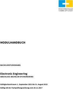 MODULHANDBUCH Electronic Engineering - ABSCHLUSS: BACHELOR OF ENGINEERING BACHELORSTUDIENGANG