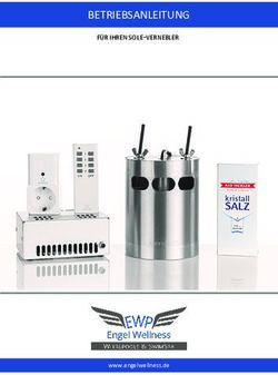 BETRIEBSANLEITUNG F&Uuml;R IHREN SOLE-VERNEBLER - www.engelwellness.de - Engel Wellness