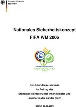 FIFA WM 2006 Nationales Sicherheitskonzept - Bund-Länder-Ausschuss im Auftrag der Ständigen Konferenz der Innenminister und -senatoren der Länder ...