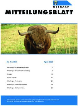 MITTEILUNGSBLATT - Nr. 4 | 2020 - Gemeinde Neerach