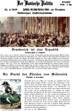 Der Badische Politix - Bismarck Gymnasium