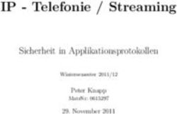 IP - Telefonie / Streaming - Sicherheit in Applikationsprotokollen Peter Knapp
