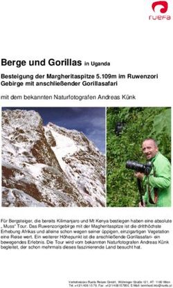 Berge und Gorillas in Uganda - BergNews.com