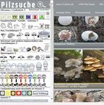 2/2017 Schweizerische Zeitschrift für Pilzkunde Bulletin Suisse de Mycologie Bollettino Svizzero di Micologia - VSVP