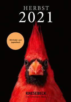 Mit Kinder- und Jugendbuch - Knesebeck Verlag
