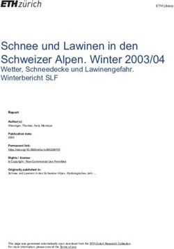 Schnee und Lawinen in den Schweizer Alpen. Winter 2003/04