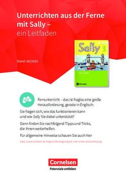 Unterrichten aus der Ferne mit Sally- ein Leitfaden - Cornelsen