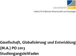 Gesellschaft, Globalisierung und Entwicklung - (M.A.) PO 2013 Institut f&uuml;r Politische Wissenschaft und Soziologie - Institut f&uuml;r Politische ...