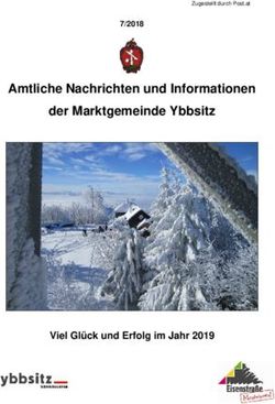 Amtliche Nachrichten und Informationen der Marktgemeinde Ybbsitz - Viel Glück und Erfolg im Jahr 2019