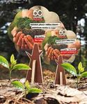 Kampagne "Weil es richtig wichtig ist, pflanzt BAUHAUS 1 Million Bäume"