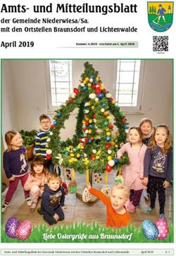 Amts- und Mitteilungsblatt - der Gemeinde Niederwiesa/Sa. mit den Ortsteilen Braunsdorf und Lichtenwalde